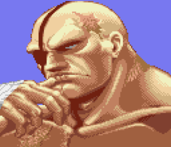 [Sagat]